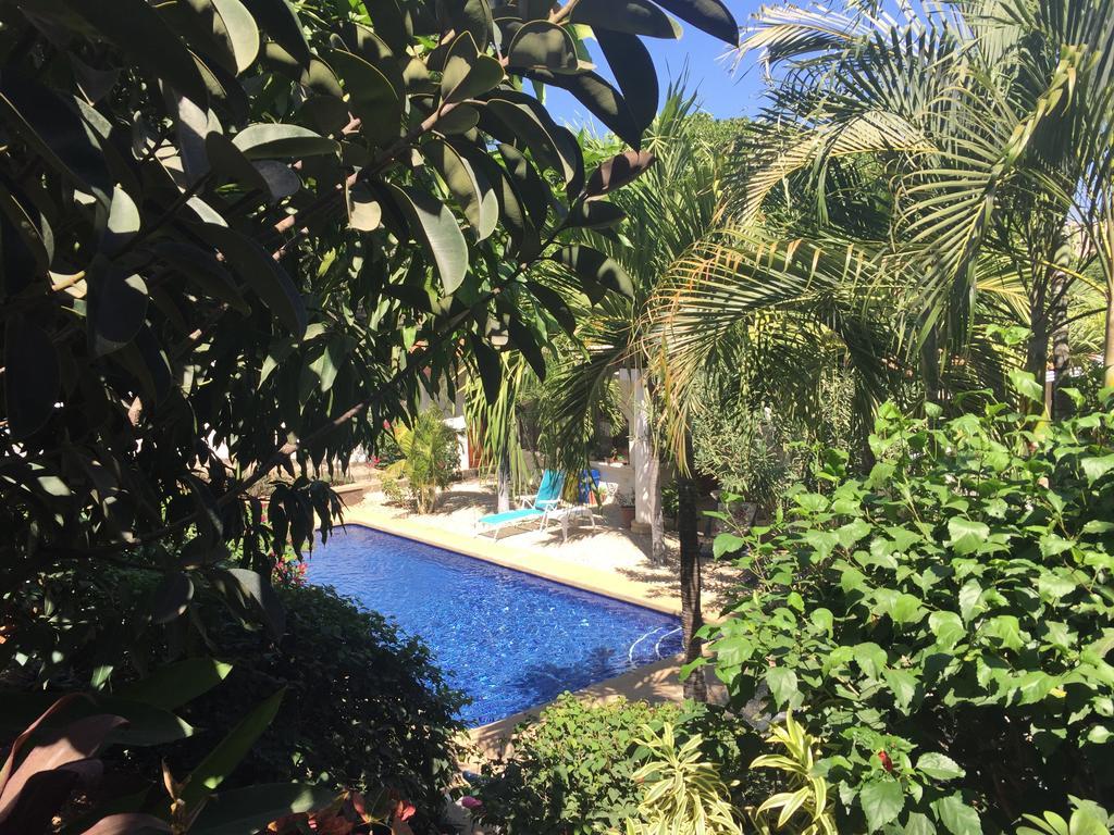 Hotel Flores (Adults Only) Tamarindo Exterior photo