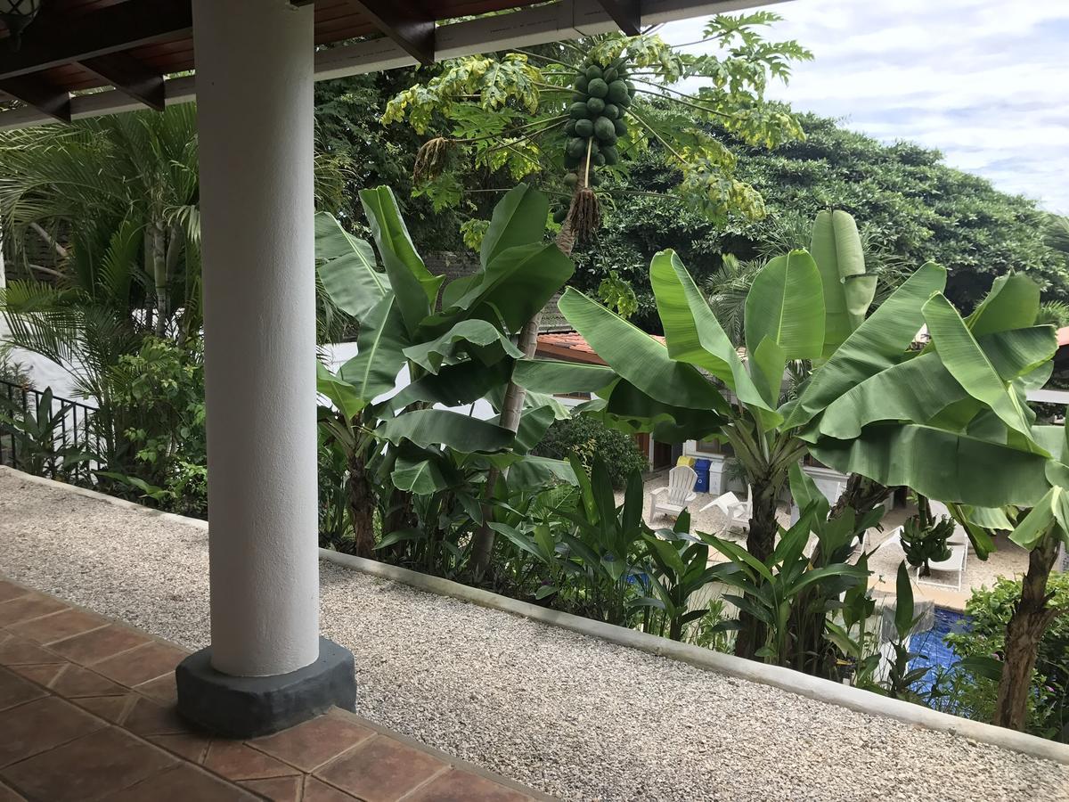 Hotel Flores (Adults Only) Tamarindo Exterior photo